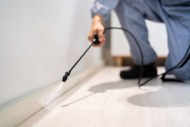 Licensed Rodent Control service in Essex County County, MA - Nex Pest Control